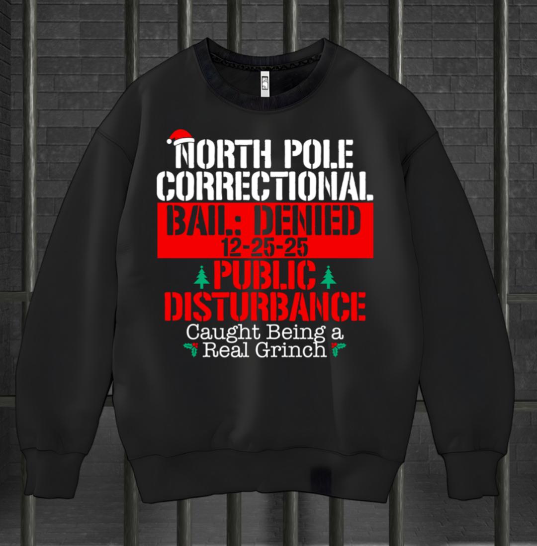 North Pole Correctional  Public Disturbance  Sweatshirt